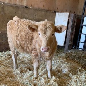 Meet your Posher, Mackenna